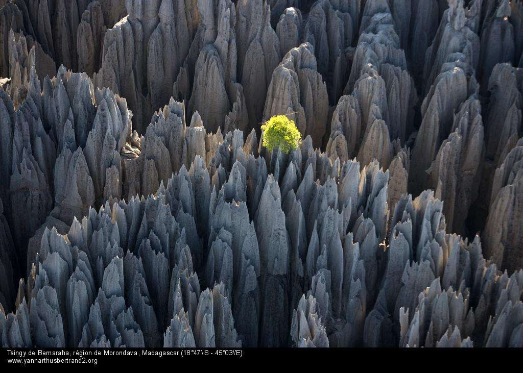 Tsingy de Bemaraha, région de Morondava, Madagascar (18°47’S – 45°03’E). Tsingy de Bemaraha, région de Morondava, Madagascar (18°47’S – 45°03’E).