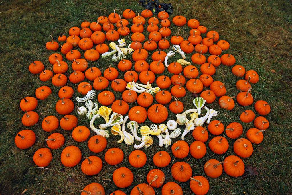 Halloween, une fête automnale Halloween, une fête automnale