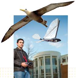 Jared Grauer testant un engin à ailes battantes directement inspiré de l'albatros, un oiseau capable de planer sur des milliers de kilomètres et qui intéresse les roboticiens. © AVL