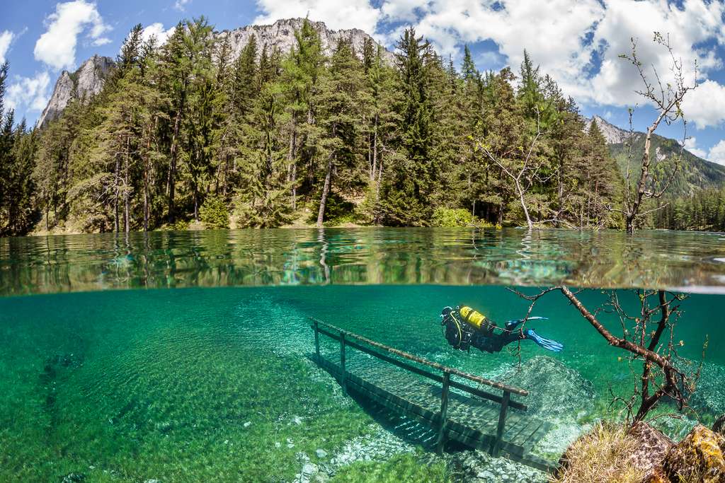 Le monde enchanté du lac Vert Le monde enchanté du lac Vert