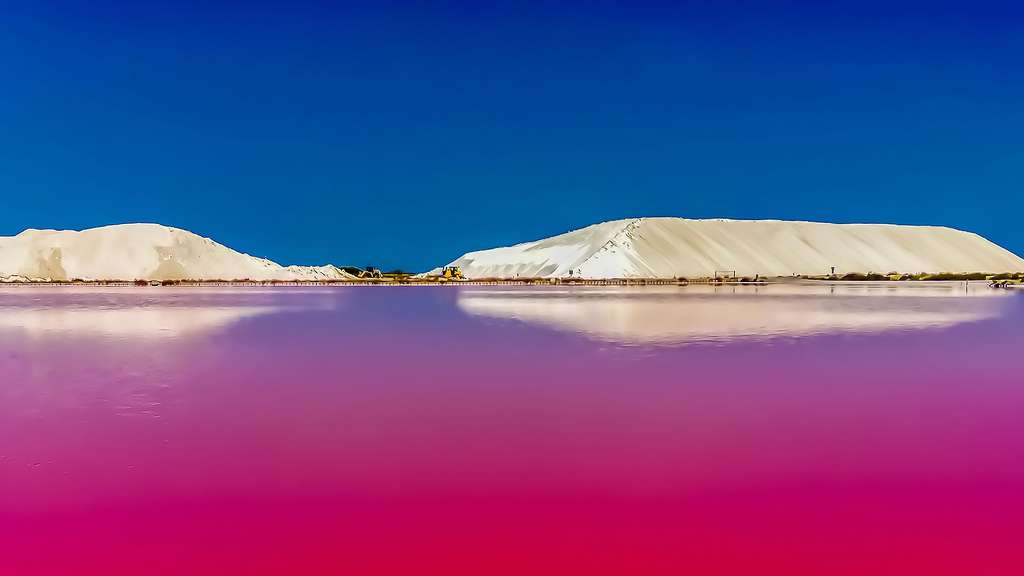 Des marais salants de couleur vive Des marais salants de couleur vive