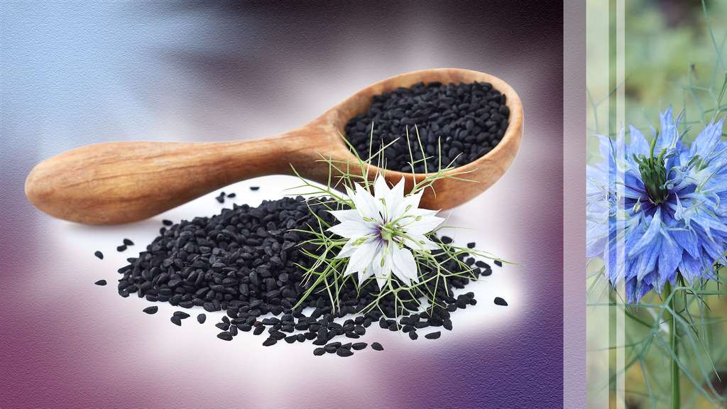 Le cumin, une épice forte en goût Le cumin, une épice forte en goût