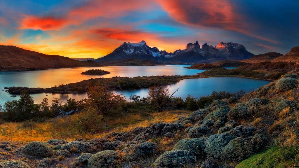 Le lac Pehoé et ses guanacos Le lac Pehoé et ses guanacos
