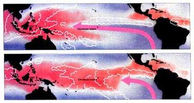 Figure 12 Voici une vision plus détaillée de la façon dont El Niño réarrange les régions de pluie sur le Pacifique tropical. Les couleurs indiquent la répartition des températures de surface de la mer pour le mois froid de novembre 1988 et pour le mois chaud (El Niño) de novembre 1982, c'est à dire pour les mêmes mois que ceux de la figure 4. Le rouge correspond aux eaux les plus chaudes, et le bleu correspond aux régions les plus froides. Les zones de fortes pluies, telles qu'elles étaient vues par satellites, sont indiquées par des nuages. Les vents de surface à l'équateur sont indiquées par des flèches. On peut noter la suppression des précipitations tropicales là où les températures de surface de la mer sont inférieures à 27°C (couleurs bleutées).