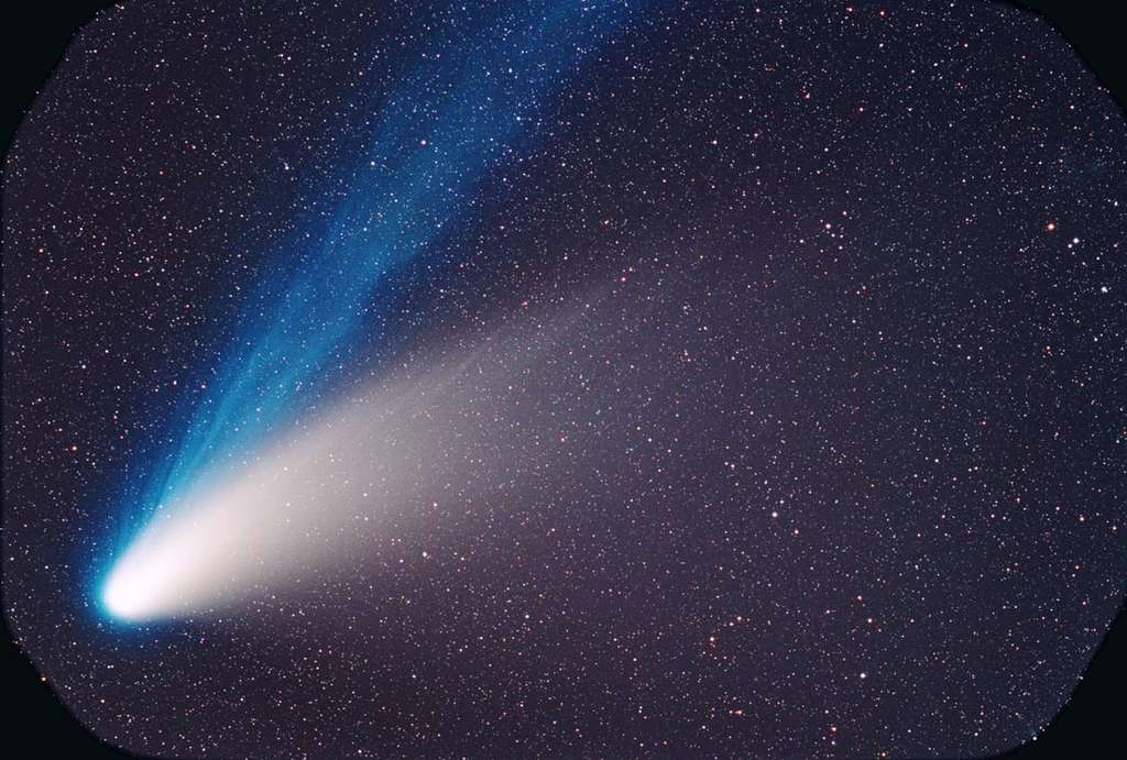 La comète Hale-Bopp photographiée le 8 mars 1997 avec un télescope de 20 centimètres de diamètre déploie ses queues de gaz (bleue) et de poussière. © D. Schechter