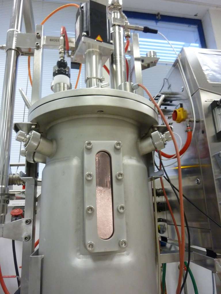 Le pilote industriel sera doté d'un fermenteur d'une contenance de 500 litres. En laboratoire, les bactéries E. coli ont produit avec succès l'isobutène dans une cuve de plus petite taille, soit de 42 litres (voir photographie). © Global Bioenergies