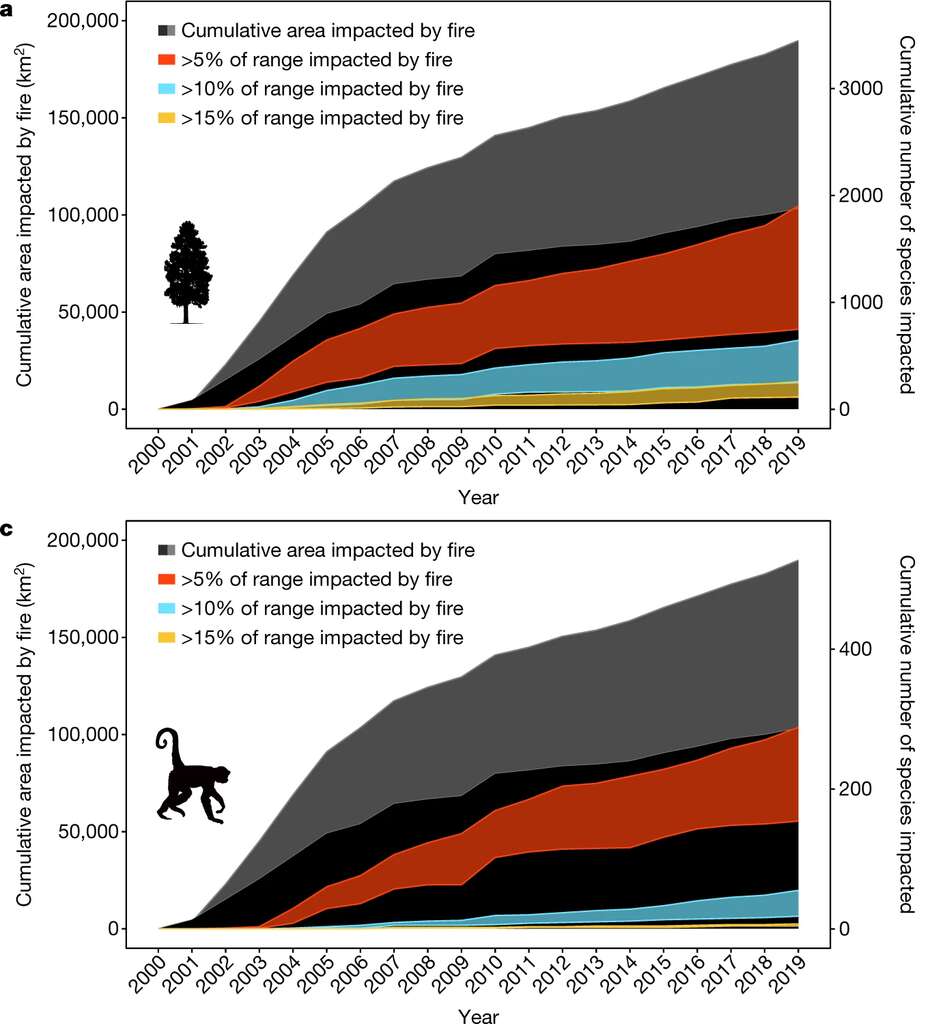 Le nombre d’espèces touchées par les incendies de forêt grandit d’année en année. © Xiao Feng et al., Nature, 2021