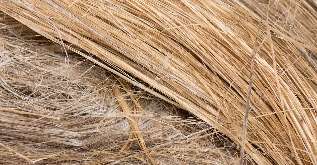 Les Materiaux Composites Sont Ils Recyclables Les Materiaux Composites Sont Ils Recyclables