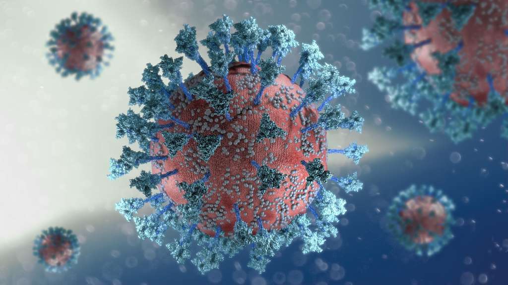 Les virus identifiés sont très proches du SARS-CoV-2.  © Naeblys, Adobe Stock
