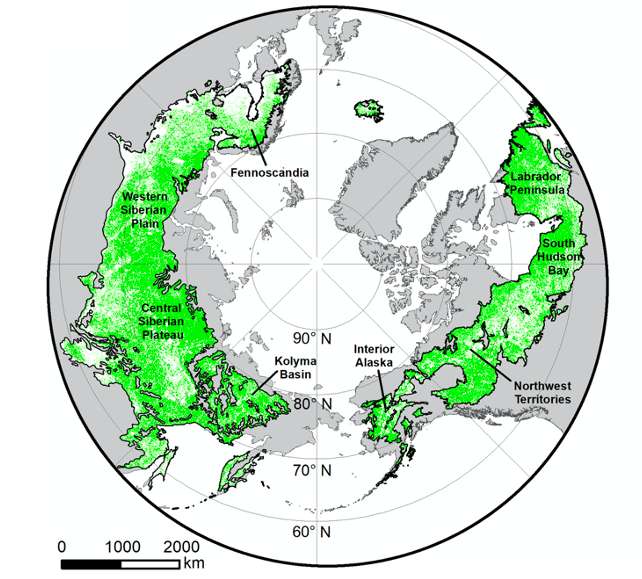 Les forêts boréales s'étendent à travers le nord de l'Eurasie et l'Amérique du Nord pour former l'un des plus grands biomes terrestres de la Terre, d'environ 15,1 millions de km2. Sur cette carte, le pôle Nord est au centre. © Logan T. Berner et Scott J. Goetz, 2022