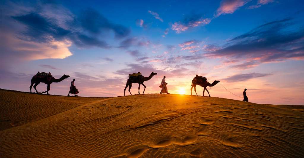 À partir du VIIe siècle apr. J.-C., les troupes de chameaux arabes, berbères et maures constituaient une partie importante des armées musulmanes qui ont conquis le Moyen-Orient, l’Afrique du Nord et le sud de l’Espagne. © Dmitry Rukhlenko, Adobe Stock