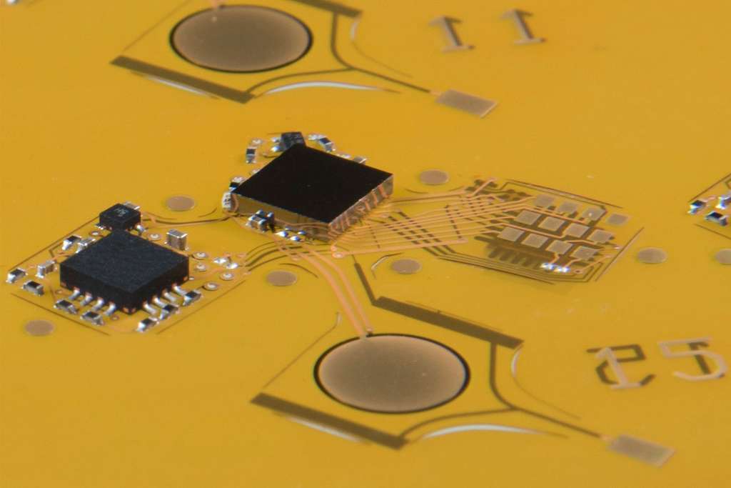 Un aperçu de l’équipement électronique miniature avant qu’il ne soit greffé sur l’abdomen d’une libellule vivante. © Charles Stark Draper Laboratory
