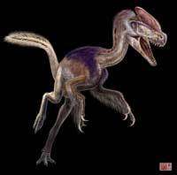 Une Une vue d'artiste du tyrannosaure miniature chinois (Crédits : IVPP)
