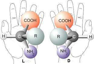 Deux molécules sont dites chirales lorsqu'elles sont l'image l'une de l'autre dans un miroir. Tout comme les mains, elles ne peuvent être superposées. On voit ici deux acides α-aminés avec leurs atomes de carbone, hydrogène, oxygène et azote (C, H, O, N) et un groupe moléculaire quelconque (R). © Société française d’exobiologie