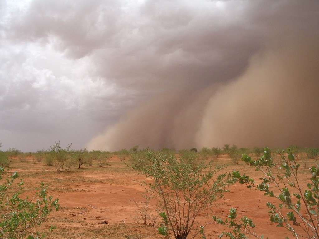Nuage de poussière précédant la pluie sur la route de Wankama (Niger). L'agriculture représente la première ressource alimentaire dans la région du Sahel. Elle est pratiquée par les deux tiers de la population active, et rendue possible par la mousson. © Luc Descroix, IRD