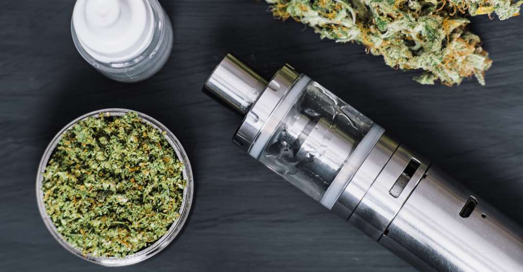 Science Decalee Le Cannabis Ne Se Fume Plus Il Se Vaporise