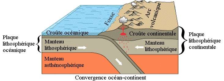 Schéma d’une subduction montrant la plaque plongeante (le slab) sous la croûte continentale © Wikimedia Commons, USGS, CC by-sa 3.0