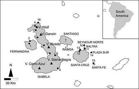 L’archipel des Galápagos. Au nord de l’île Isabella, le volcan Wolf. Crédit : Gabriele Gentile/PNAS