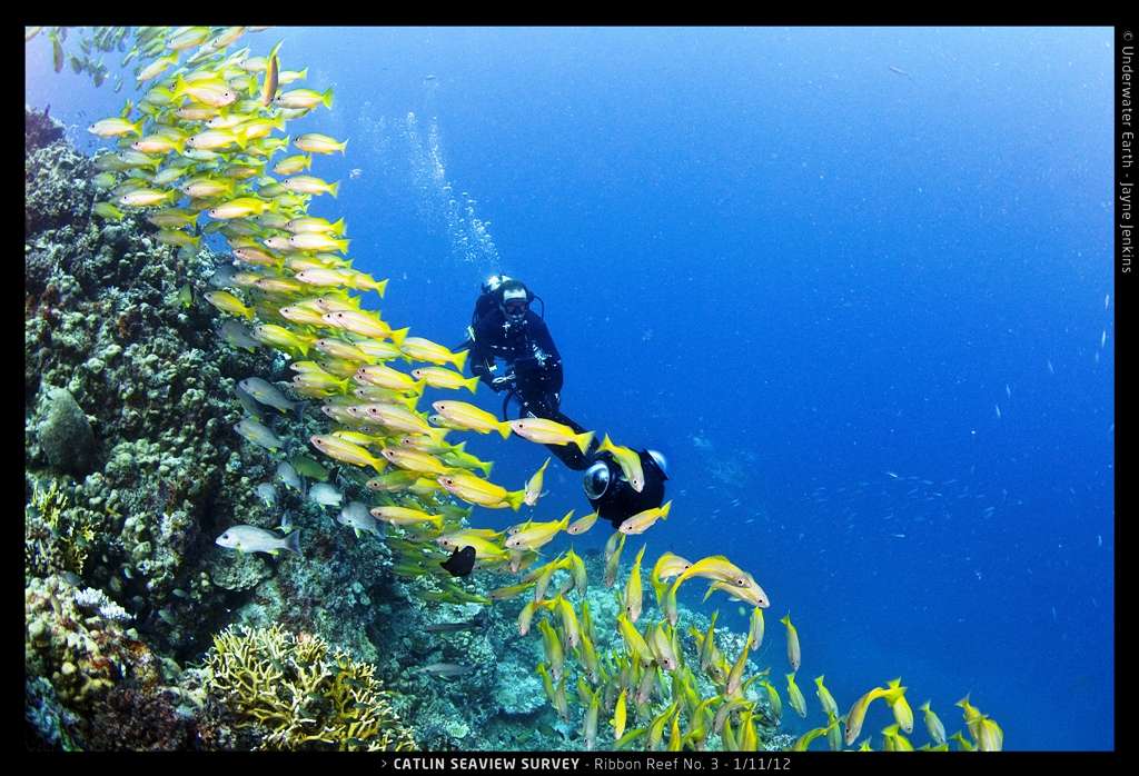 Christophe Bailhache, direttore delle operazioni del Catlin Seaview Survey, nel mezzo del lavoro sulla Grande Barriera Corallina in Australia nel 2012. Le operazioni per il 2014 stanno per iniziare nelle Filippine come parte della campagna per il sud-est asiatico. © Catlin Seaview Survey, Jayne Jenkins