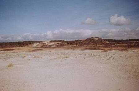 Plage sableuse avec dune littorale - © Reproduction et utilisation interdites