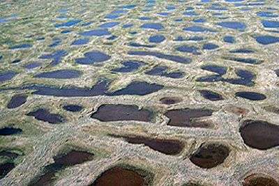 Pergélisol en train de fondre et formant des marécages. Le réchauffement accélère la fonte de ces surfaces. © United States Geological Survey