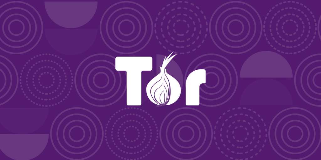 Tor est à l'origine un projet sous la houlette de la marine américaine, il est aujourd'hui une organisation à but non-lucratif. © Tor Project