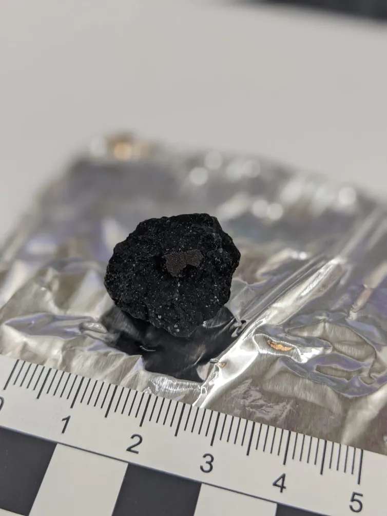 Un fragment de la météorite qui a traversé le ciel du Royaume-Uni le 28 février 2021. Il pèse environ 4 grammes. © Natural History Museum