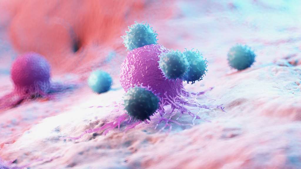 Les lymphocytes gamma delta sont nécéssaire à la mémoire à court terme. © Sebastian Kaulitzki, Fotolia