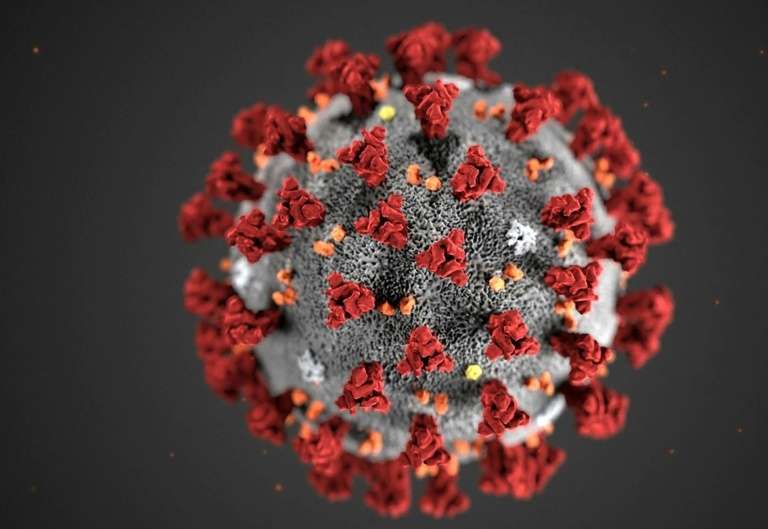 Une illustration en 3D du coronavirus. Les structures rouges symbolisent les protéines S qui permettent au virus d'infecter sa cellule cible. © Lizabeth Menzies, Centers for Disease Control and Prevention, AFP, Archives