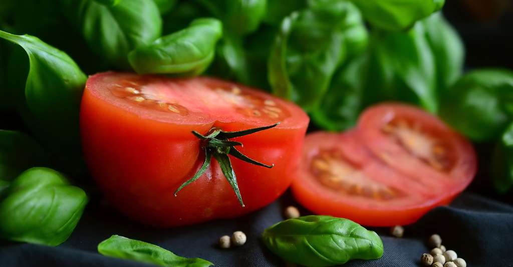 La tomate est un légume-fruit. Elle se mange souvent l'été, nature ou en vinaigrette. © Congerdesign, CCO