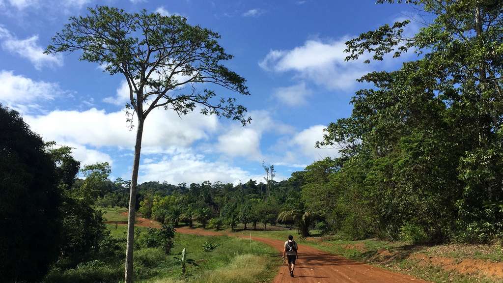 Le Parc amazonien de Guyane, l'un des plus grands espaces protégés du monde Le Parc amazonien de Guyane, l'un des plus grands espaces protégés du monde