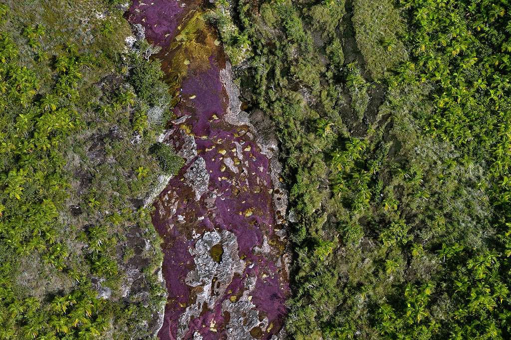 Cano Cristales prend sa source au cœur de la Serrania de la Macarena, un plateau sédimentaire ancien et usé. © Olivier Grunewald, tous droits réservés