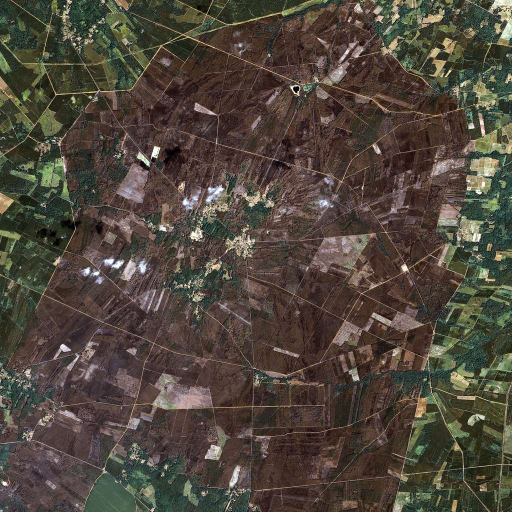 Cette image acquise par le satellite Spot 6 (21 juillet 2022) nous montre l'excellent travail des pompiers qui a permis d'épargner plusieurs communes. © Airbus DS 2022