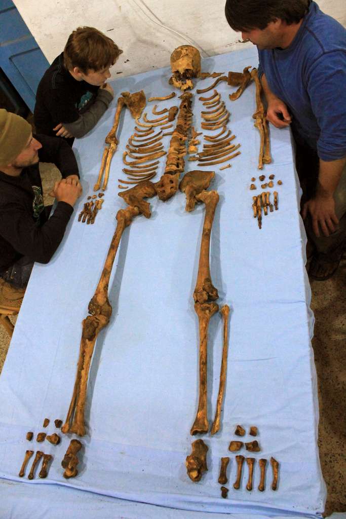 Ce squelette reconstitué est celui du pharaon Woseribre Senebkay, probablement le premier représentant de la dynastie d'Abydos, qui régna il y a plus de 3.600 ans. Le corps avait été momifié mais les pilleurs de la tombe en ont dispersé les ossements. De gauche à droite, Matt Olson, Alexander Wegner et Paul Verhelst. © Jennifer Wegner, Penn Museum
