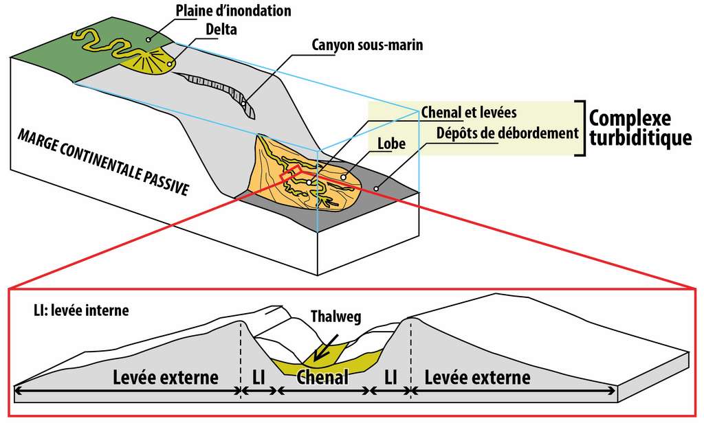 Schéma montrant l’architecture d’une marge continentale passive incisée par un canyon sous-marin et un complexe turbiditique au niveau du glacis continental. © Emmanuel Roquette, Wikimedia Commons, CC by-sa 4.0