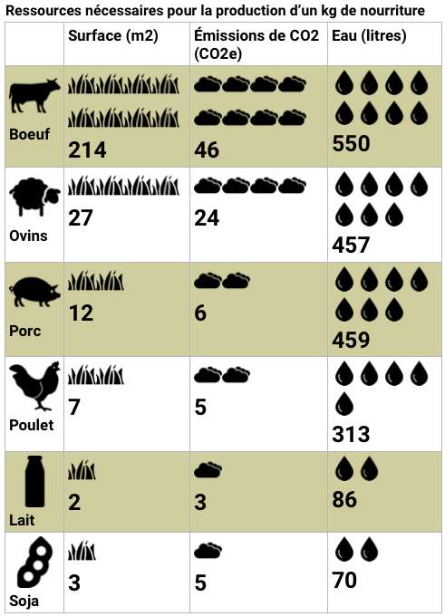 Ressources nécessaires pour la production d’un kilogramme de viande, de lait ou de soja. Infographie © Freepik, C.D, Futura, d’après Climate Focus. 