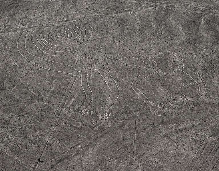 Tracées par la civilisation Nazca, une culture pré-inca qui perdura entre 800 et 300 avant notre ère, les figures peuvent être de simples lignes ou de véritables dessins de plusieurs dizaines, voire centaines de mètres. Ici, le singe, l'un des motifs les plus connus, fait 55 mètres de long. © Markus Leupold Lowenthal, Wikimedia
