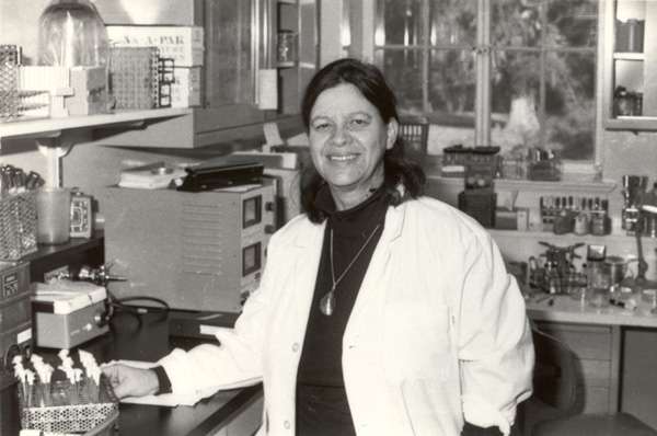 Esther Zimmer Lederberg dans son laboratoire en 1977. © Domaine public, collection Stanford University archive, site : http://www.estherlederberg.com/