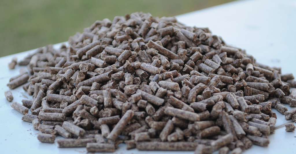 Les poêles et inserts sont connus pour utiliser des bûches. Mais ils peuvent aussi employer des pellets, aussi appelés granulés de chauffage. © Kapilbutani, Wikimedia commons, CC by-sa 3.0