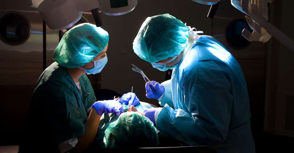 Le traitement de l'incontinence fécale peut se faire par chirurgie. © Gergely Zsolnai, Shutterstock