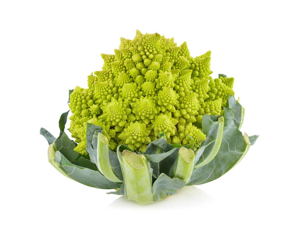 D'origine italienne, le chou romanesco est aussi appelé « brocoli à pomme » © yodaswaj, Adobe Stock 