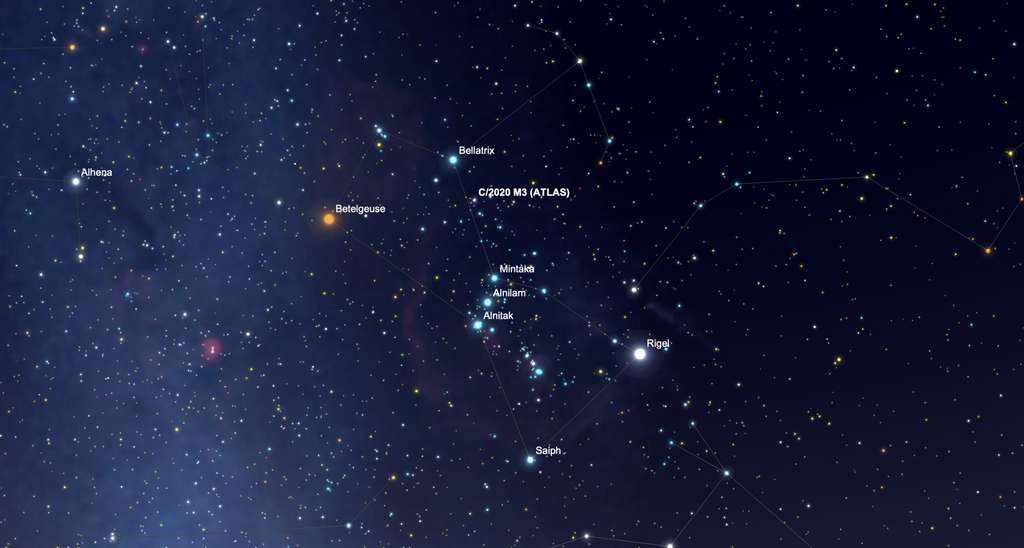 Orion et ses principales étoiles. Le 13 novembre, C/2020 M3 (Atlas) approche de la guerrière Bellatrix. © SkySafari