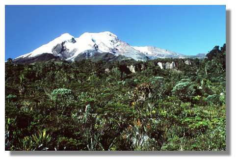 Dômes de lave sommitaux englacés du volcan actif Cayambe (5790 m), en Equateur. La présence de cette calotte glaciaire entraîne, par fusion partielle, la formation de coulées boueuses extrêmement dangereuses lors de chaque reprise d'activité. © IRD/Michel Monzier