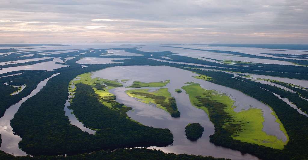 Vue sur l'Amazonie. © Jason Auch, Wikimedia commons, CC by 2.0