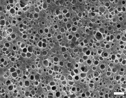 Cliché de microscopie électronique à balayage d’un alliage de polymères constitué d’une matrice de polyamide dans laquelle sont dispersées des inclusions de polypropylène. La barre d’échelle représente une longueur de 2 μm. © Cerdato, Arkema