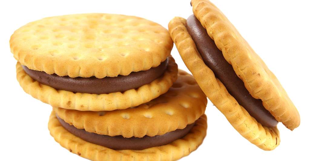 Les biscuits sont énergétiques et apportent sucres et graisses. © Emilio100, Shutterstock