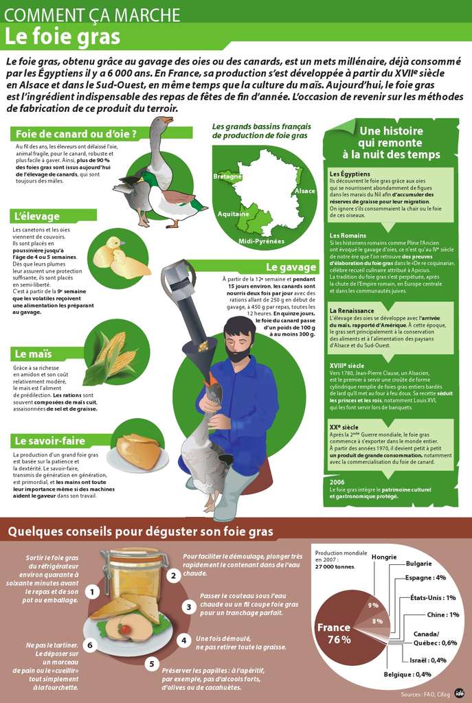 Comment ça marche le foie gras et les coulisses de sa fabrication