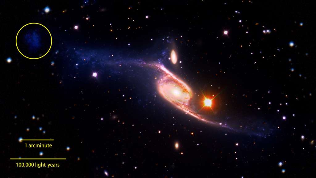 Jeunes étoiles brillantes en ultraviolet (UV) d'une naine de marée provenant de la collision entre NGC 6872 et IC 4970. Elles sont bien visibles dans le cercle jaune en haut à gauche. Au fur et à mesure que l'on s'éloigne du centre de NGC 6872, le long de ses bras spiraux, les observations révèlent aussi des étoiles nouvellement formées, de plus en plus jeunes. Image composite formée par la réunion des observations du VLT (dans le visible), de Spitzer (dans l'infrarouge) et de Galex (dans l'UV). © Nasa's Goddard Space Flight Center, ESO, JPL-Caltech, DSS