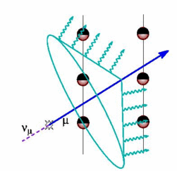 Figure 5. Les sphères d'Amanda et de IceCube sont aptes à détecter les photons du rayonnement Cerenkov en bleu. Cliquez pour agrandir. Crédit : Collaboration Amanda