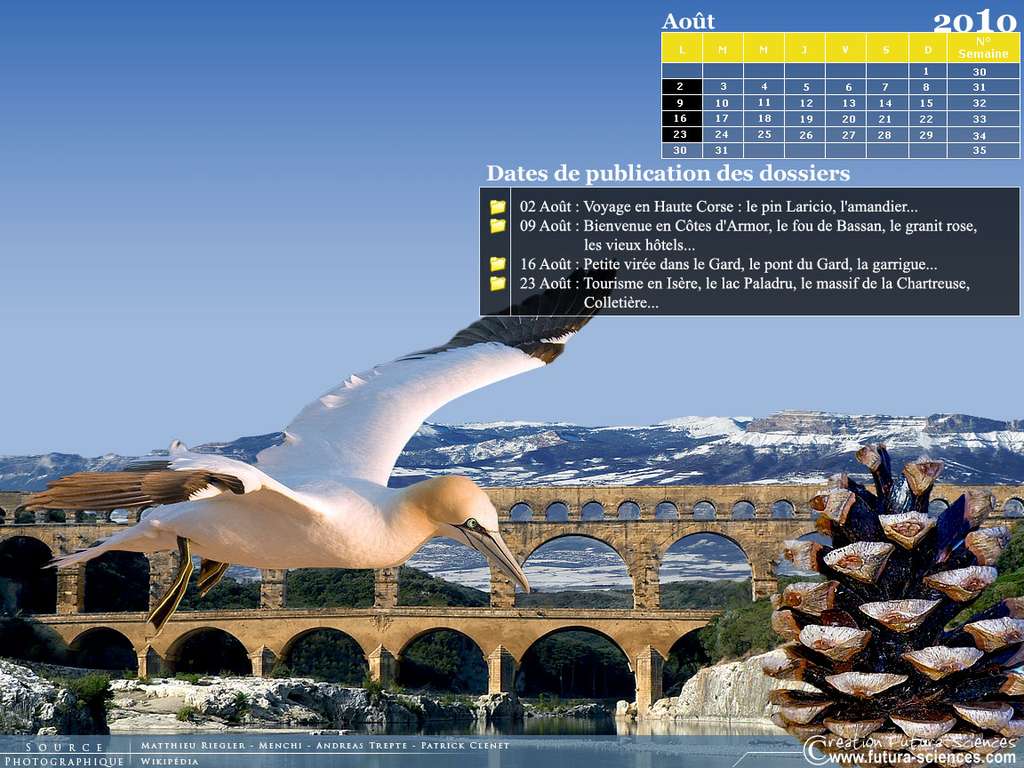 Calendrier Août 2010 Calendrier Août 2010